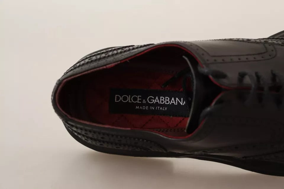 Chaussures Derby à lacets en cuir perforé noir Dolce &amp; Gabbana