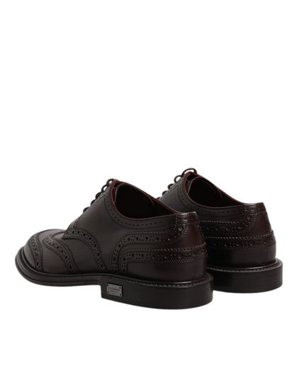 Chaussures habillées à lacets et bout golf en cuir marron Dolce &amp; Gabbana