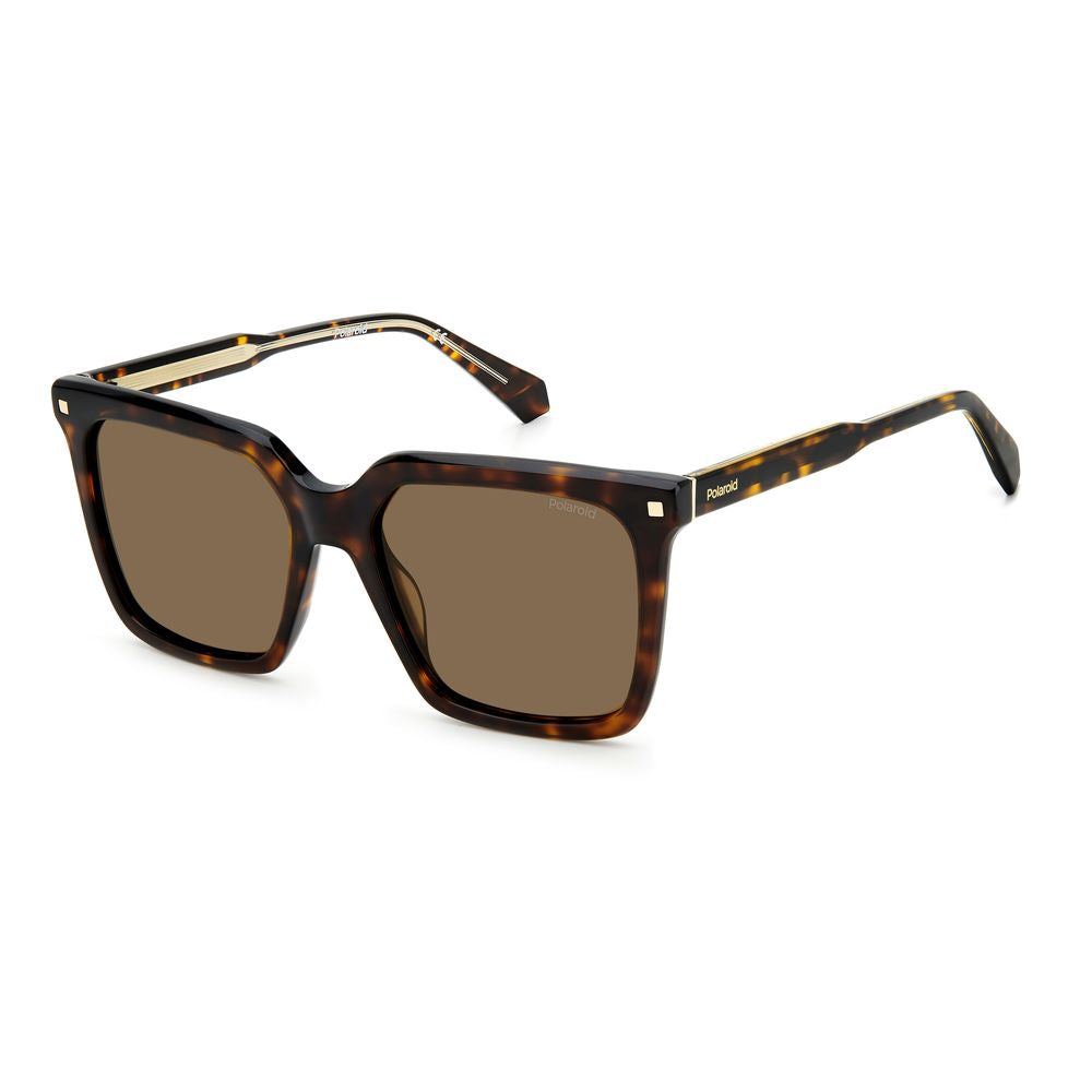 Polaroid Brown Acetate Sunglasses by Polaroid