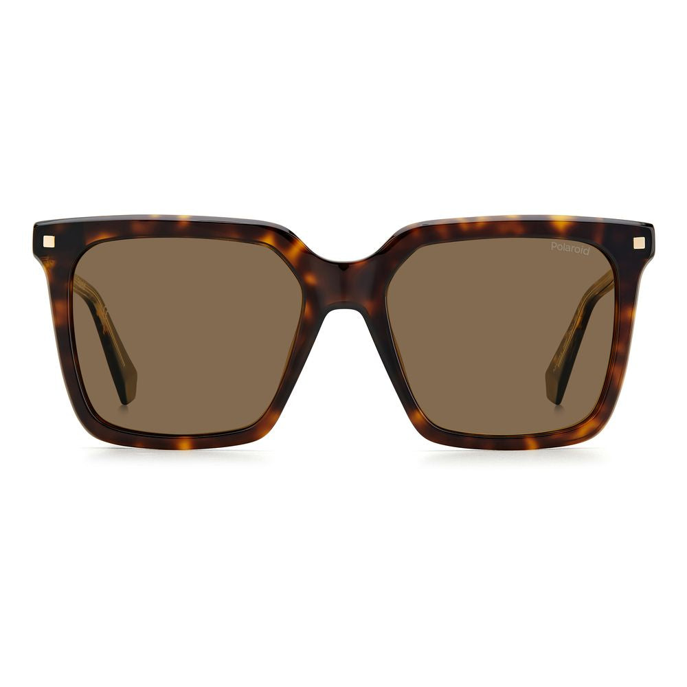 Polaroid Brown Acetate Sunglasses by Polaroid