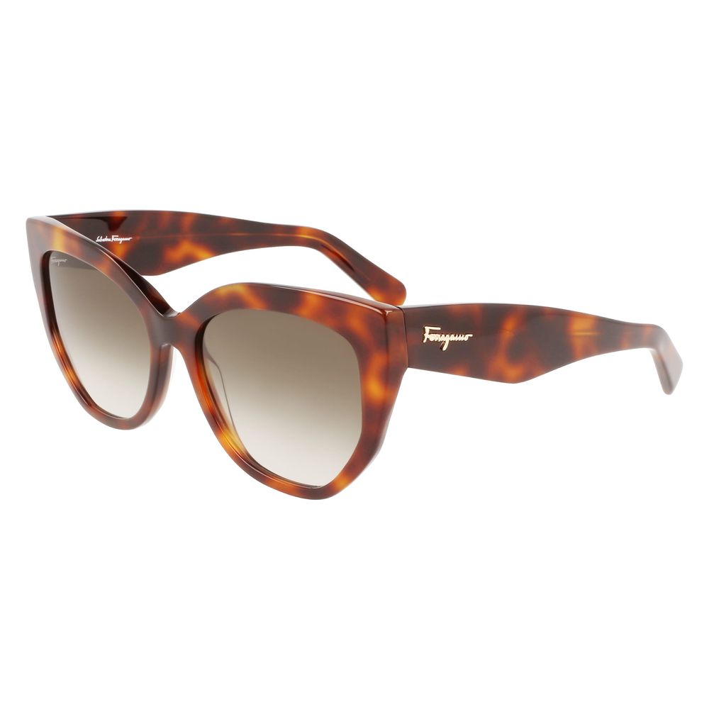 Ferragamo Brown Acetate Sunglasses by Ferragamo