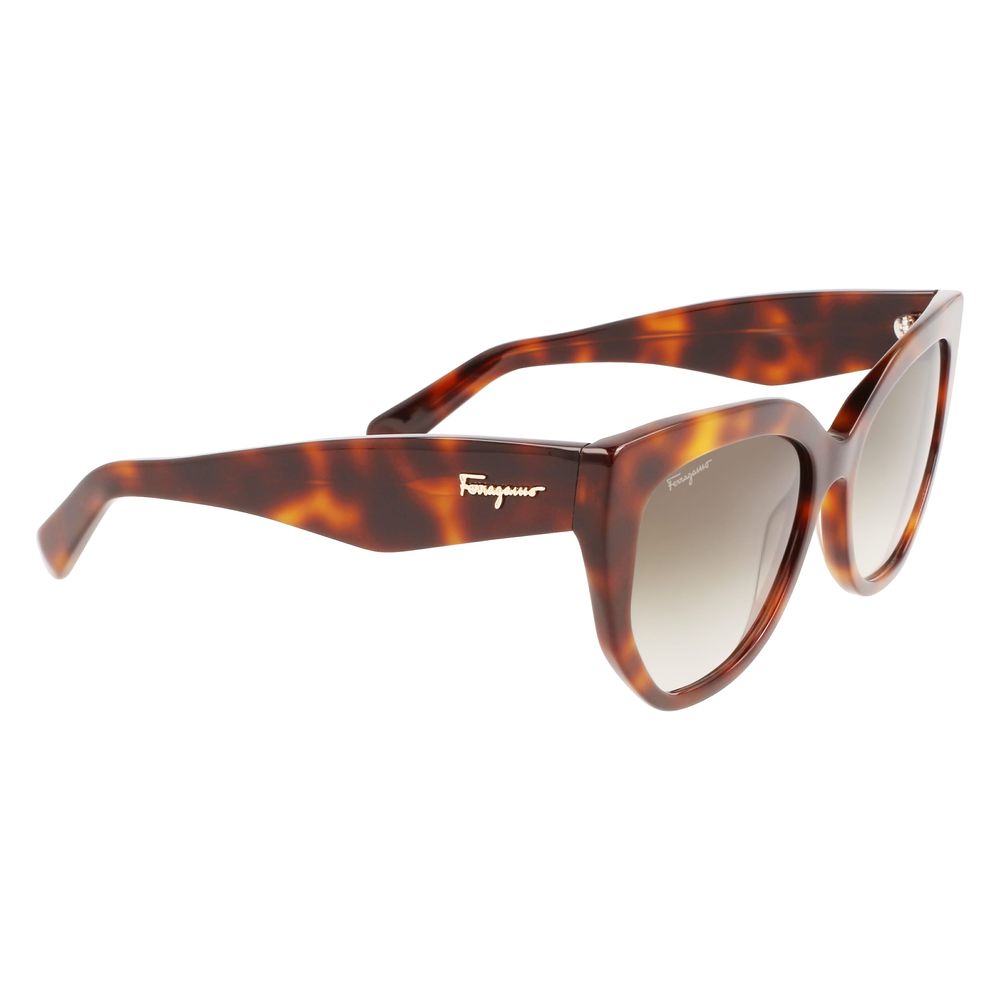 Ferragamo Brown Acetate Sunglasses by Ferragamo