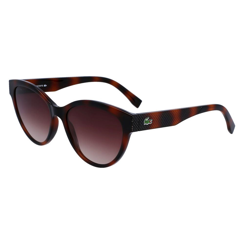 Lacoste Brown Injected Sunglasses by Lacoste