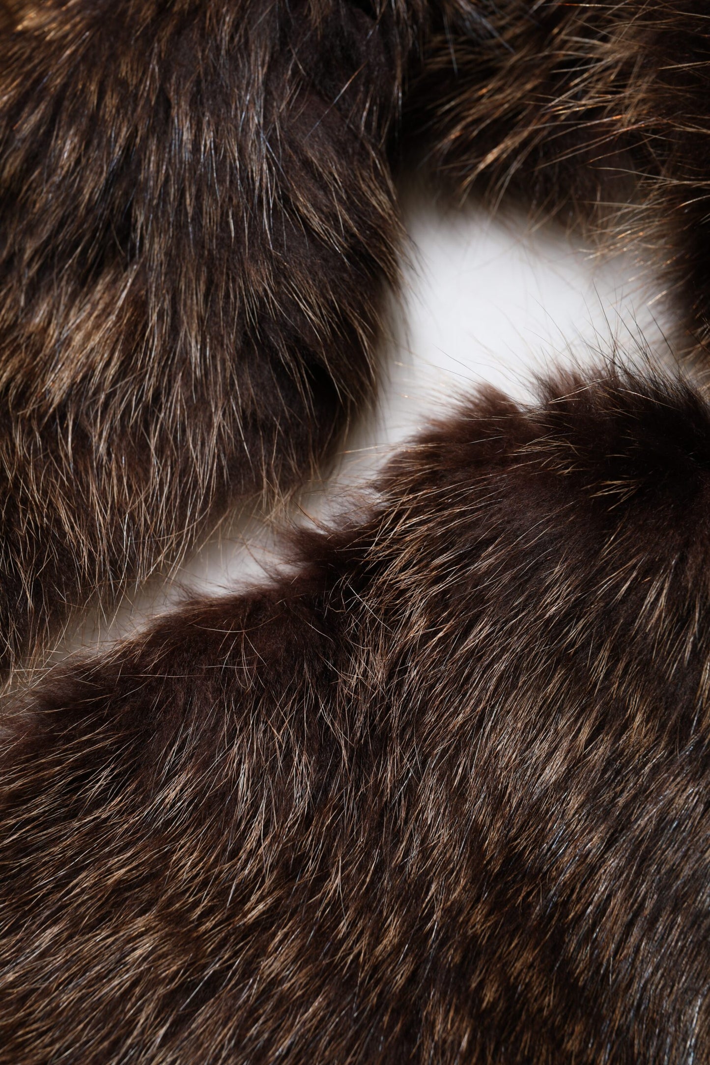 Dolce & Gabbana Brown Raccoon Fur Neck Warmer Winter Scarf by Dolce & Gabbana
