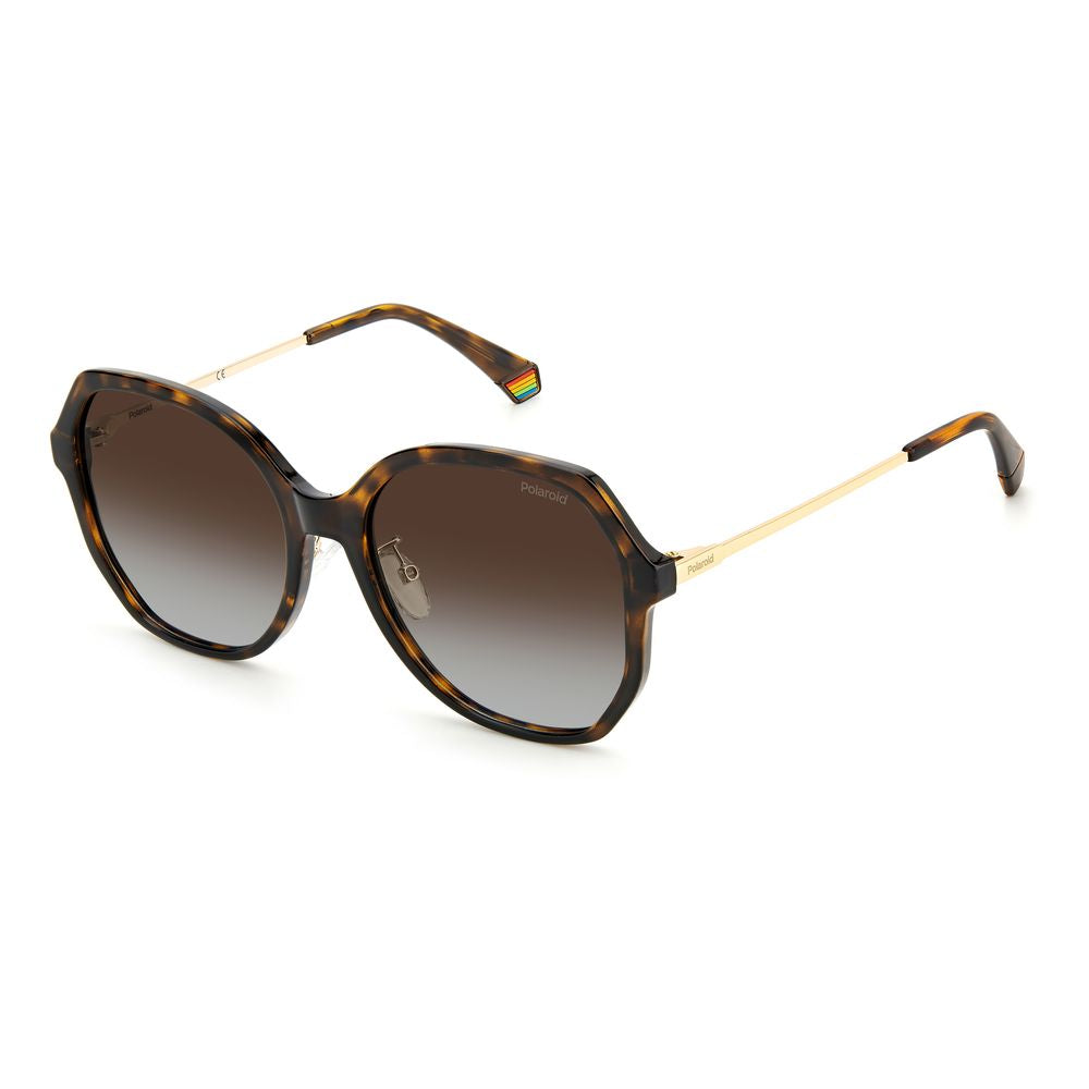 Polaroid Brown Plastic Sunglasses by Polaroid