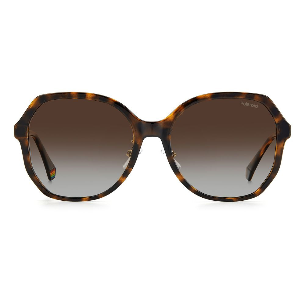 Polaroid Brown Plastic Sunglasses by Polaroid