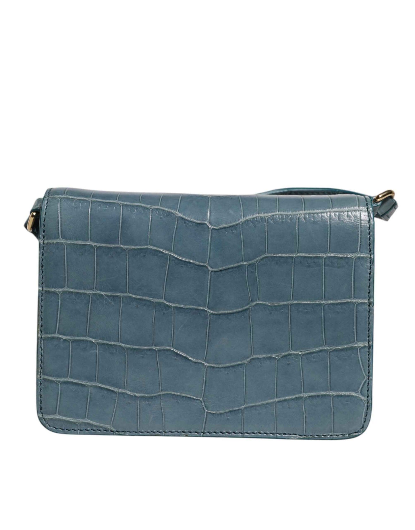 Dolce & Gabbana Crossbodytas Krokodillenleer Groen Goud by Dolce & Gabbana