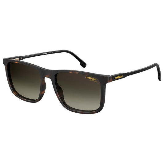 Lunettes de soleil Carrera marron injectées