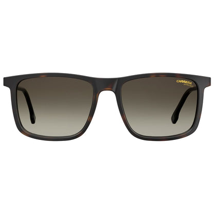 Lunettes de soleil Carrera marron injectées