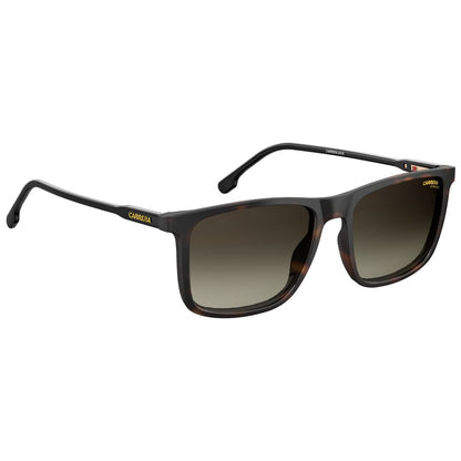 Lunettes de soleil Carrera marron injectées