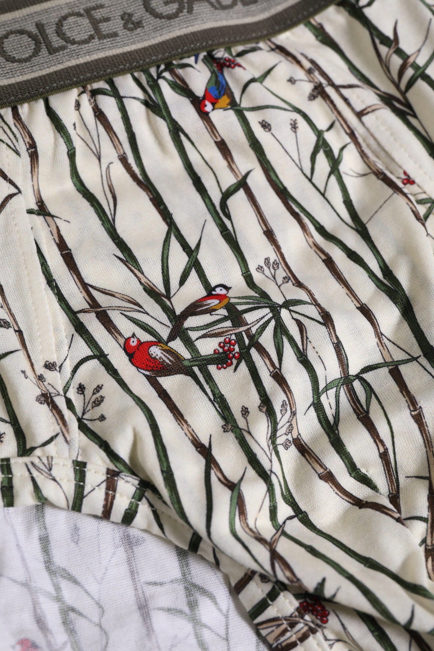 Sous-vêtement régulier en coton imprimé oiseaux ivoire Dolce &amp; Gabbana