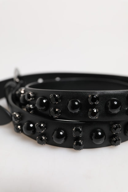 Ceinture Dolce &amp; Gabbana en cuir noir clouté avec boucle en métal et logo