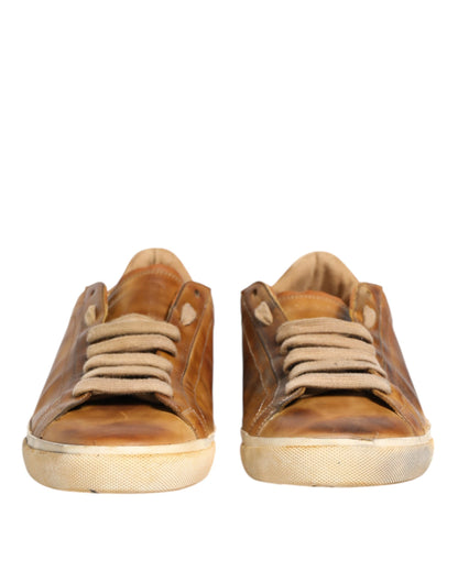Dolce &amp; Gabbana Brown Leather Low Top Men Sneakers Shoes