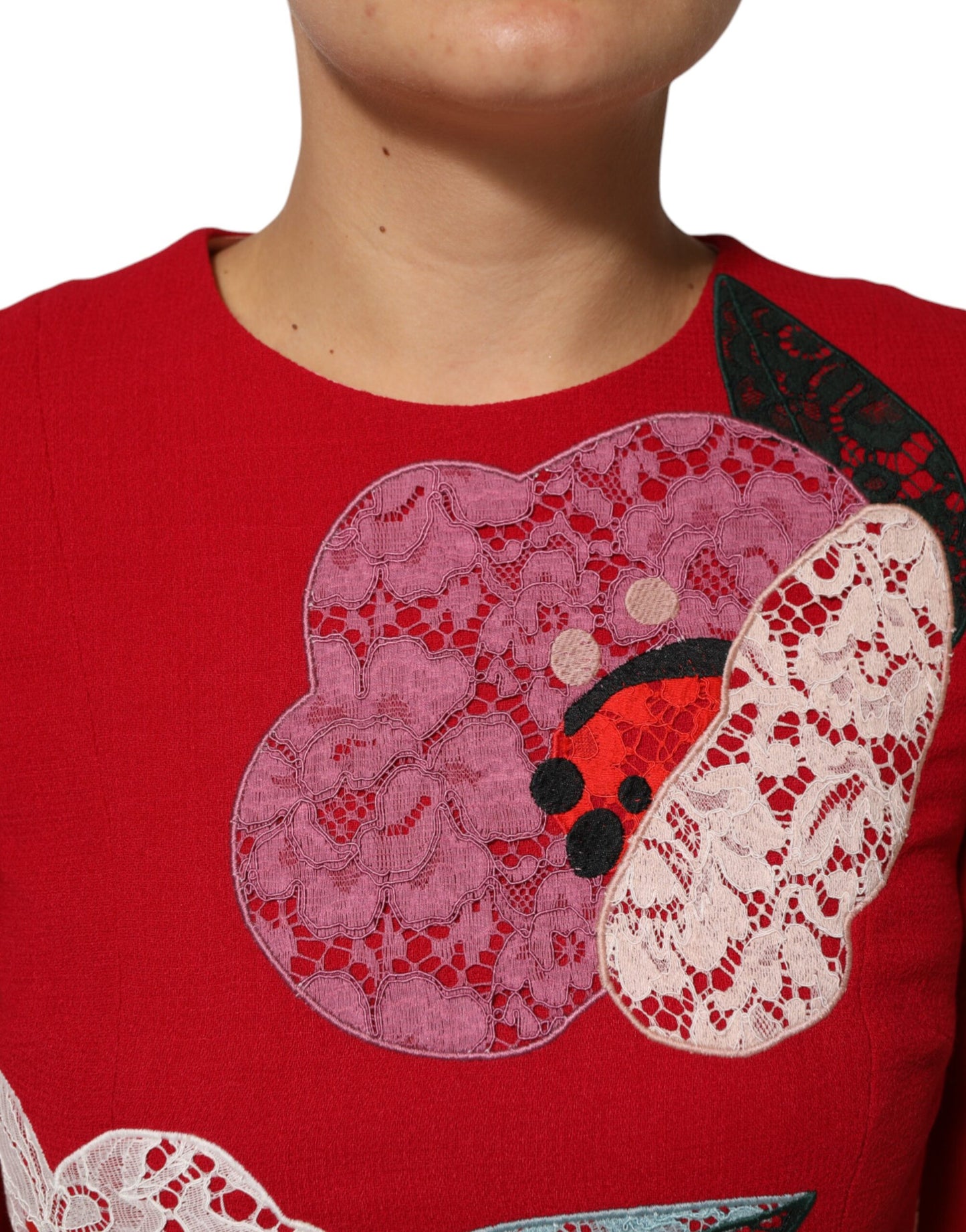 Dolce &amp; Gabbana Red Lace Floral Applique A-line Mini Dress