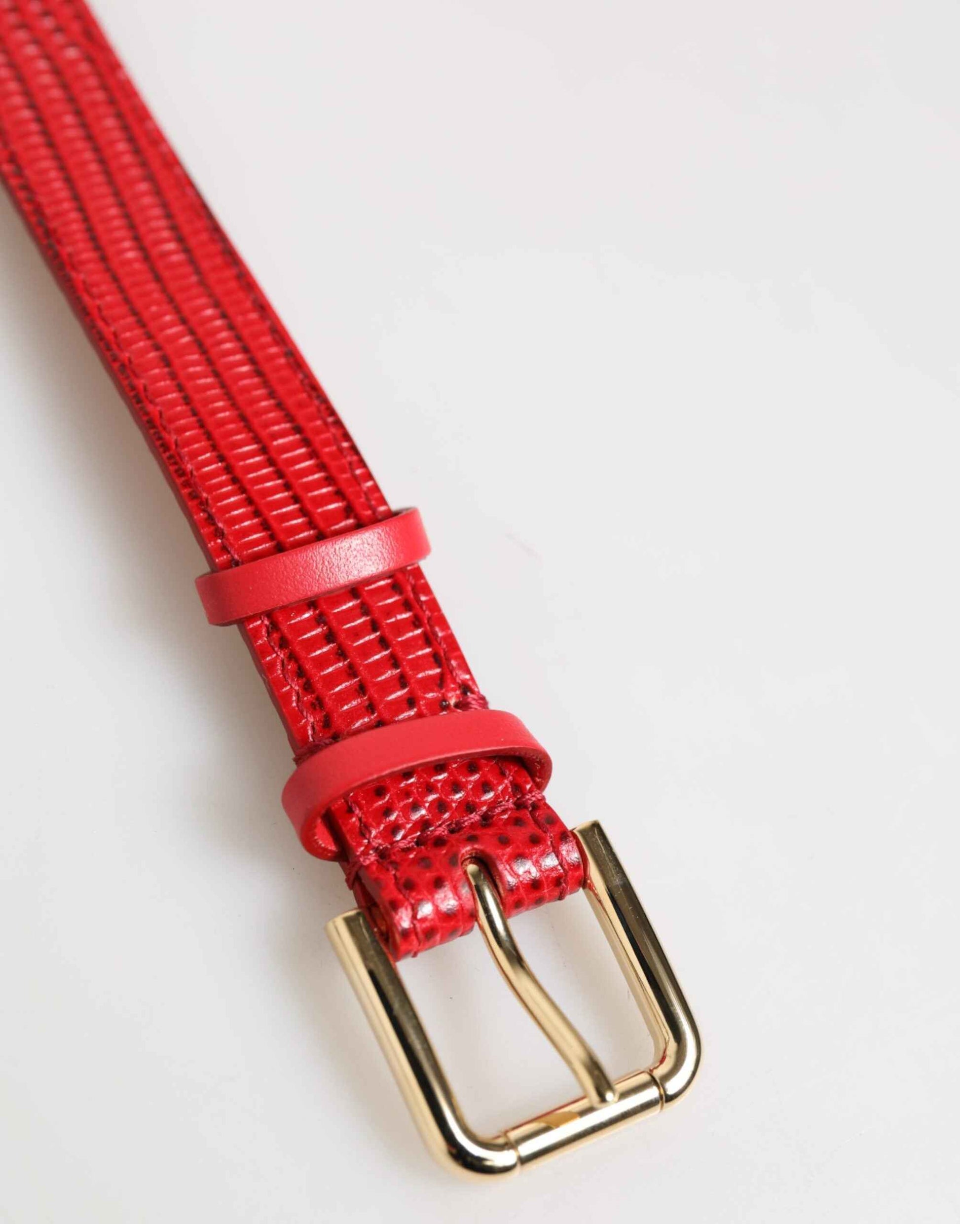 Dolce & Gabbana Red Exotic Leather Gold Tone Metal Buckle Women Armband by Dolce & Gabbana