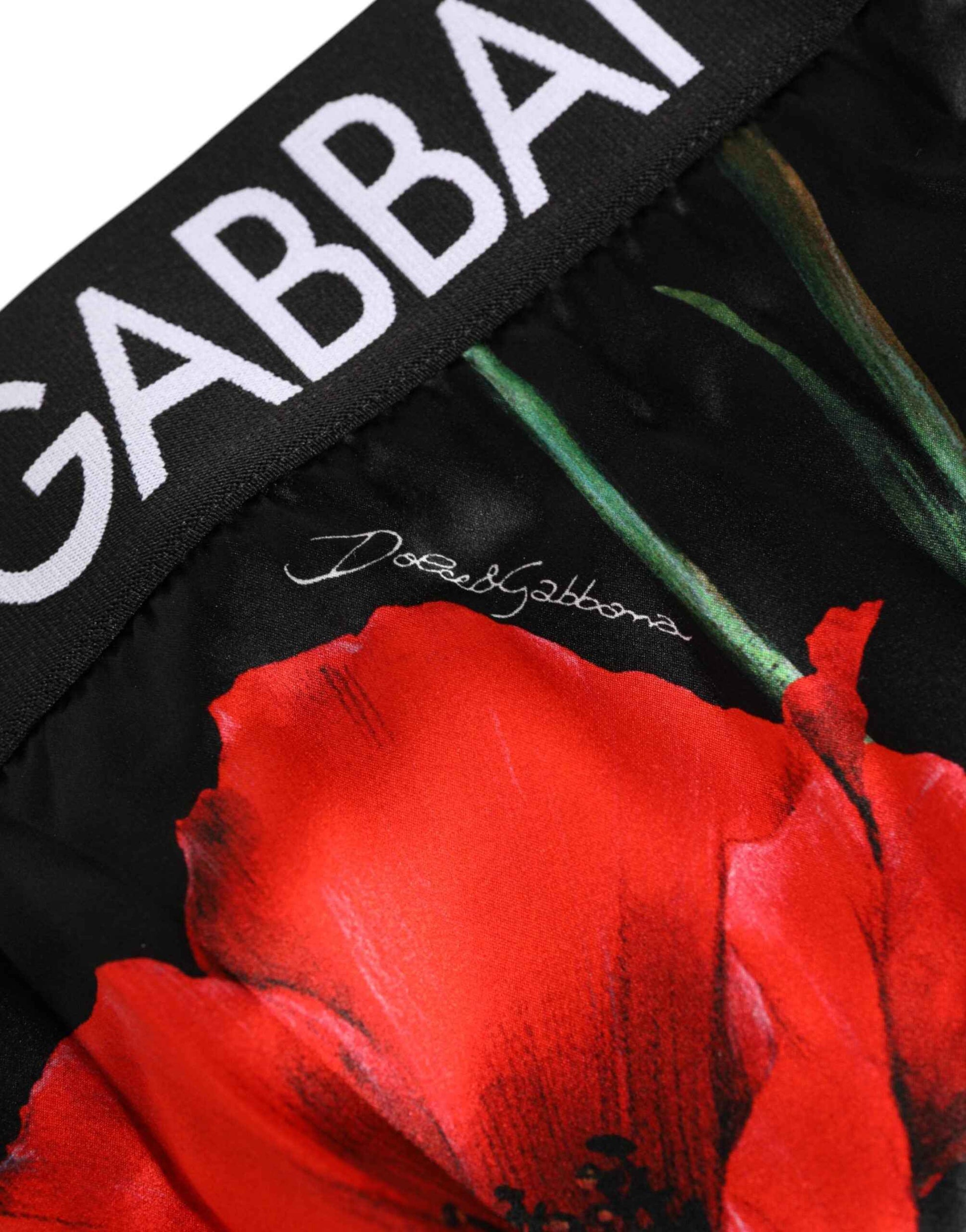 Dolce & Gabbana Black Floral Print High Waist Sheer Mesh Underwear by Dolce & Gabbana