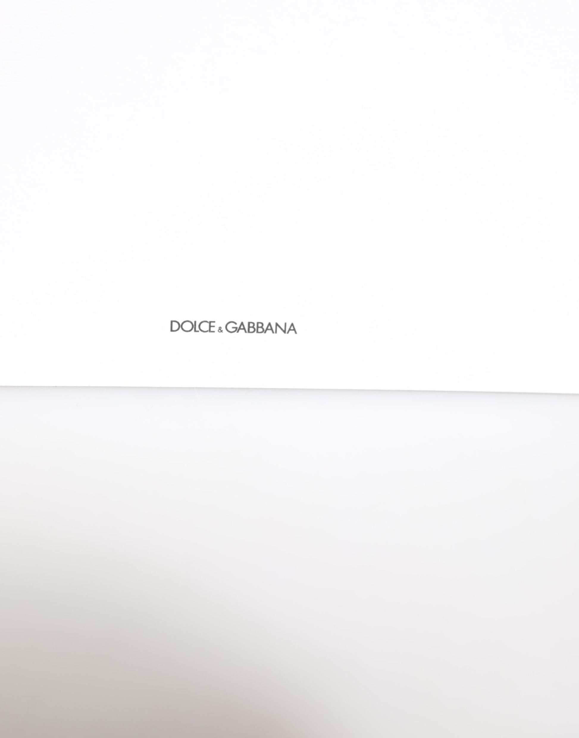 Dolce & Gabbana Multicolor Leopard Print Envelope Paper Post Card Holder - from Dolce & Gabbana