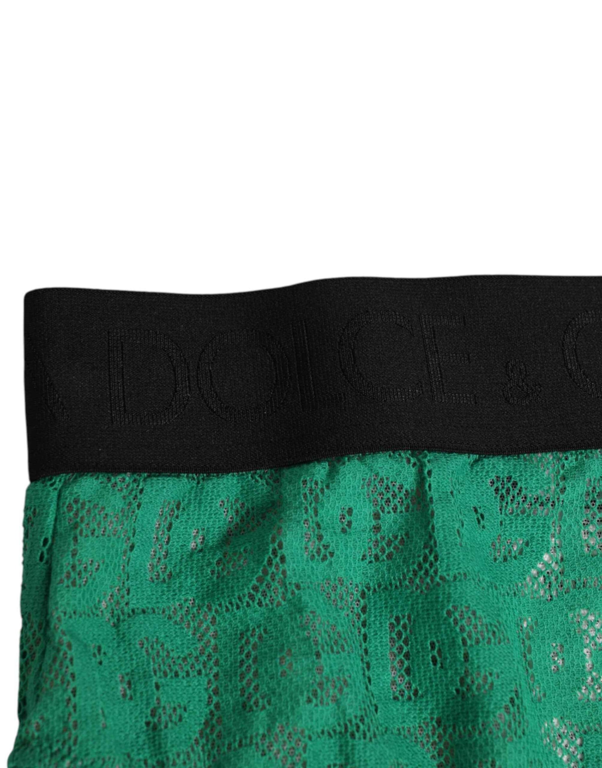 Dolce & Gabbana Green DG Logo Lace High Brief Panty Underwear