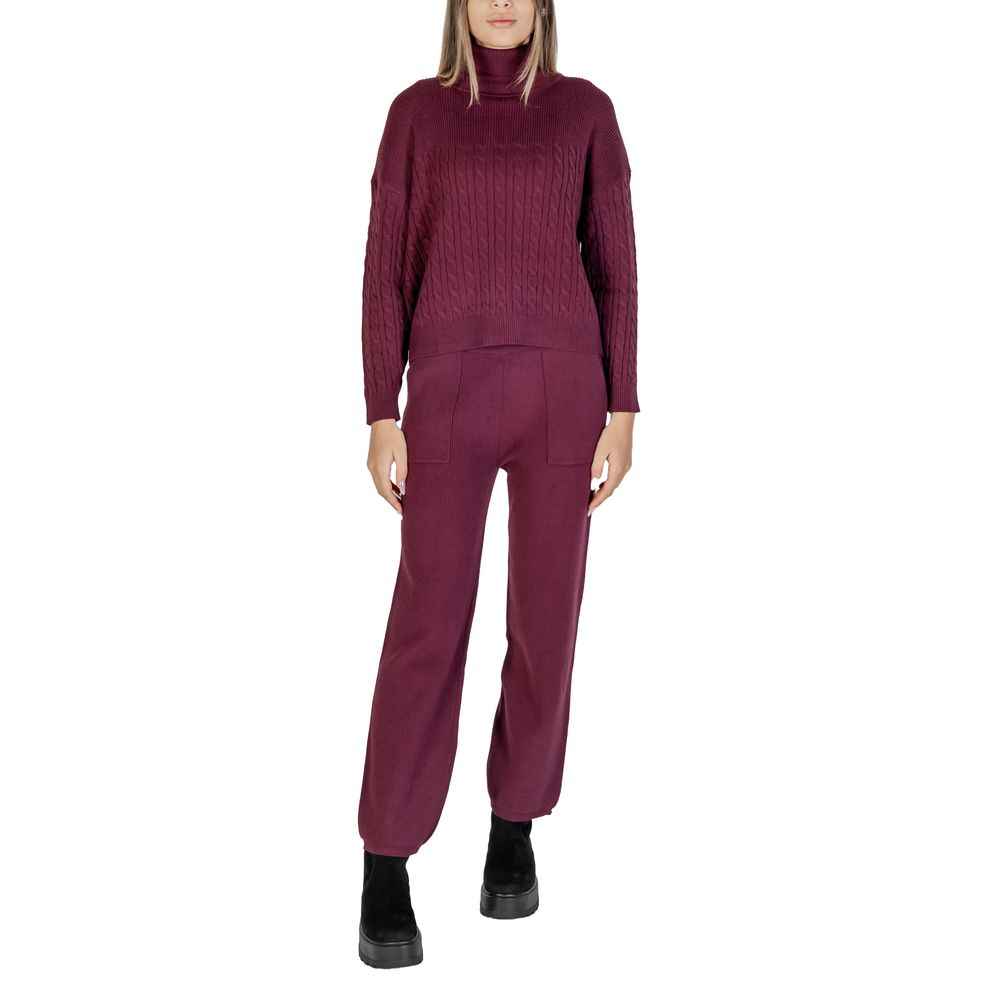 Cleré Bordeaux Viscose Turtleneck