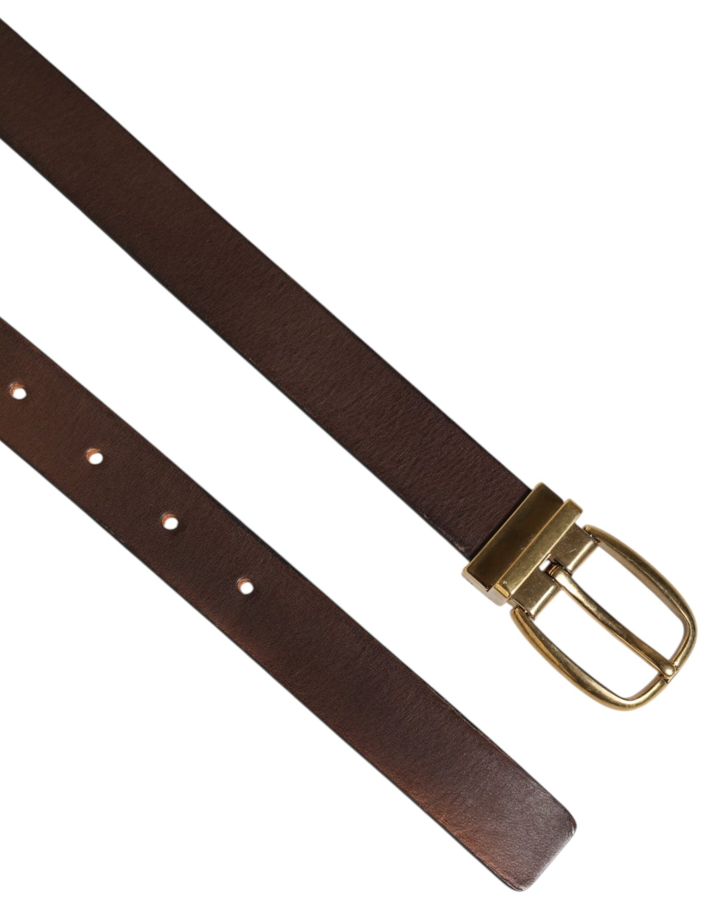 Dolce Gabbana Herenriem Bruine Riem Met Goud Logo Gesp